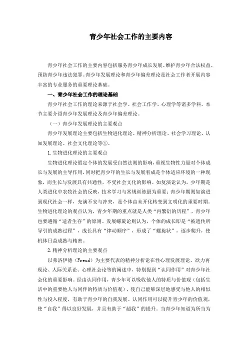青少年社会工作的主要内容