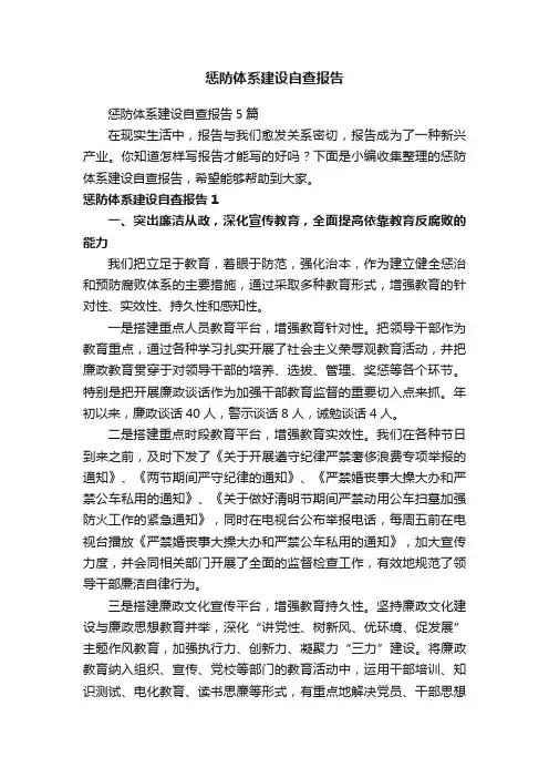 惩防体系建设自查报告