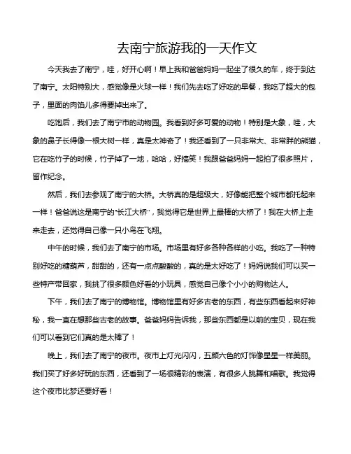 去南宁旅游我的一天作文