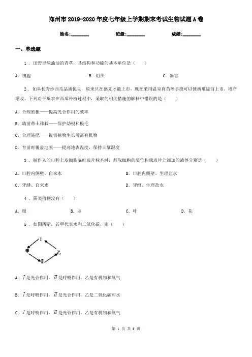 郑州市2019-2020年度七年级上学期期末考试生物试题A卷-1