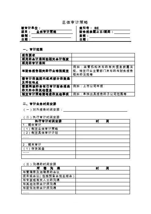 总体审计策略【模板】
