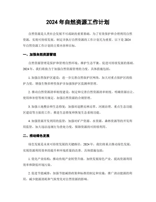 2024年自然资源工作计划