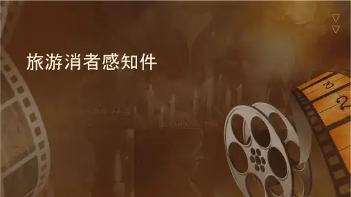 旅游消费者感知课件