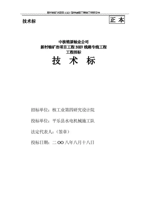 技术标(正)