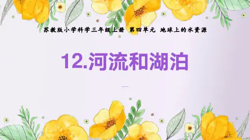 苏教版小学科学三年级上册第四单元地球上的水资源《河流与湖泊》课件