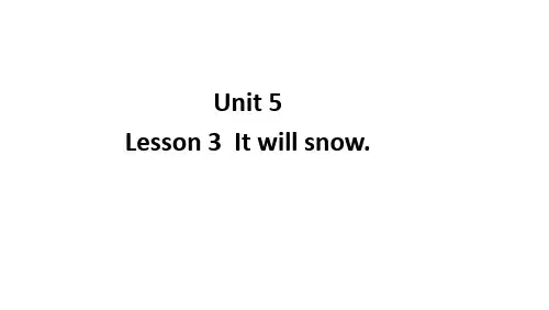 鲁科版英语四年级上册Unit 5  Weather Lesson 3 It will snow课件