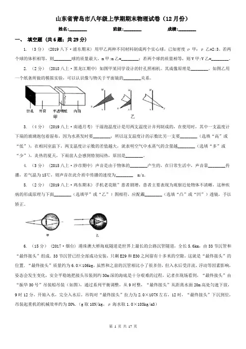 山东省青岛市八年级上学期期末物理试卷(12月份)