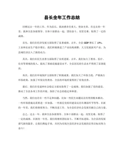 县长全年工作总结