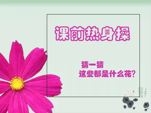 二年级下册语文作文课件PPT：花(上)部编版
