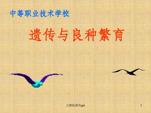 《生物的遗传和变异》PPT课件