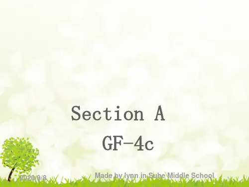 人教版九年级英语全册 Unit3 Section A (Grammar focus- 4c)第4课时(共15张PPT)
