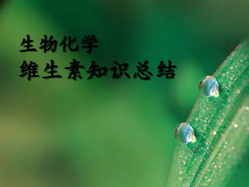 生物化学-维生素-知识总结 PPT