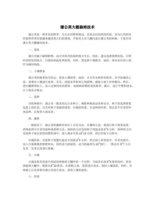 蒲公英大棚栽培技术