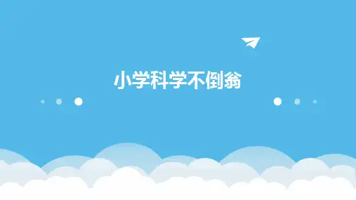 小学科学不倒翁课件ppt