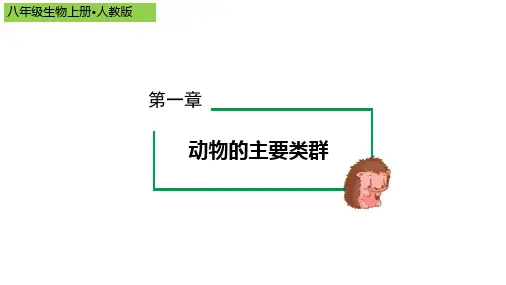 第一章 动物的主要类群(单元解读)八年级生物上册(人教版)