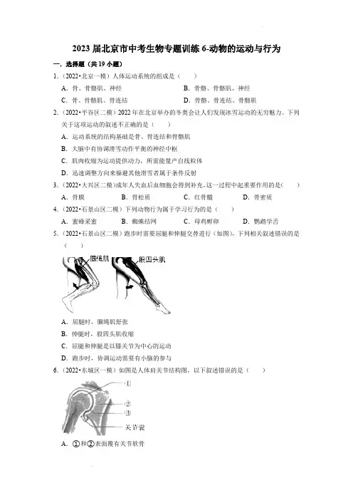 《动物的运动与行为》2023北京市中考生物训练及解析