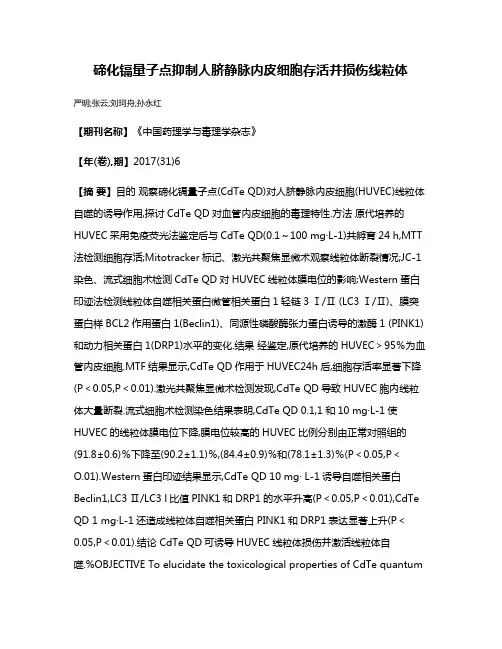 碲化镉量子点抑制人脐静脉内皮细胞存活并损伤线粒体