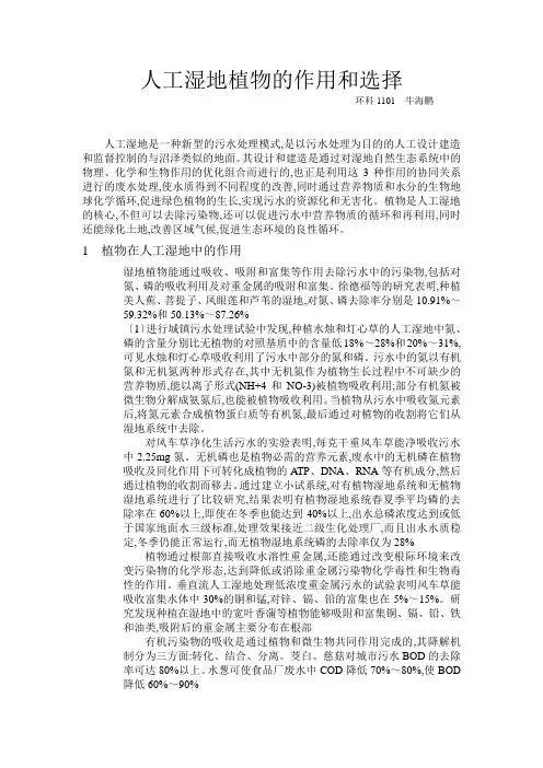 人工湿地植物的作用和选择