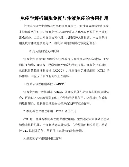 免疫学解析细胞免疫与体液免疫的协同作用