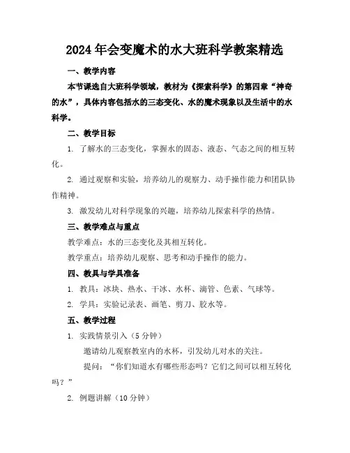 2024年会变魔术的水大班科学教案精选
