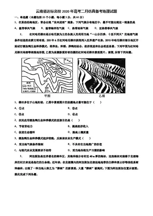 云南省达标名校2020年高考二月仿真备考地理试题含解析