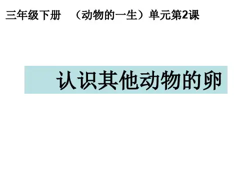 最新教科版小学科学三年级下册2《认识其他动物的卵》教学课件