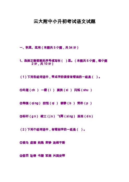 云大附中小升初考试语文试题