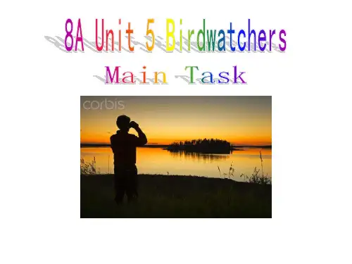 牛津译林英语八年级上册unit5Task (共26张PPT)