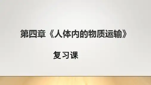 人教版七年级下册生物第四章《人体内的物质运输》复习课件(共20张PPT)(共20张PPT)