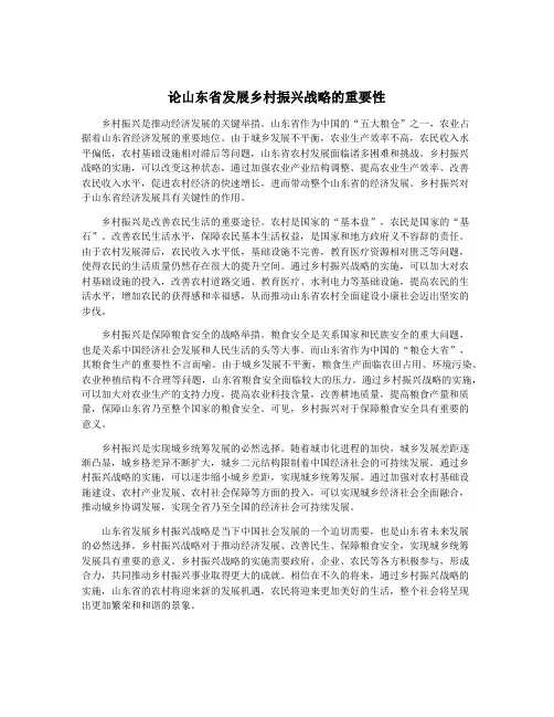 论山东省发展乡村振兴战略的重要性