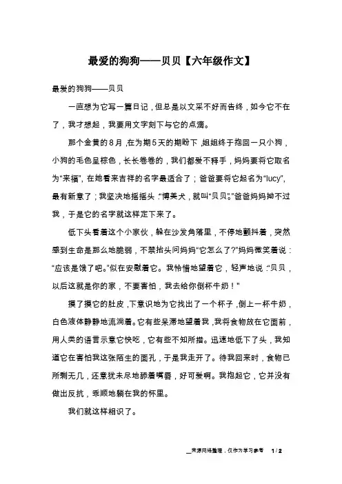 最爱的狗狗——贝贝【六年级作文】