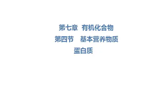 高中化学：蛋白质