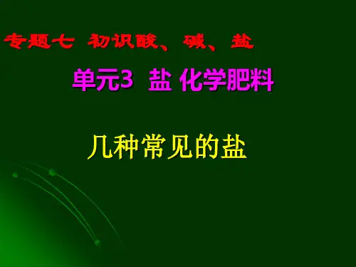 几种常见的盐PPT