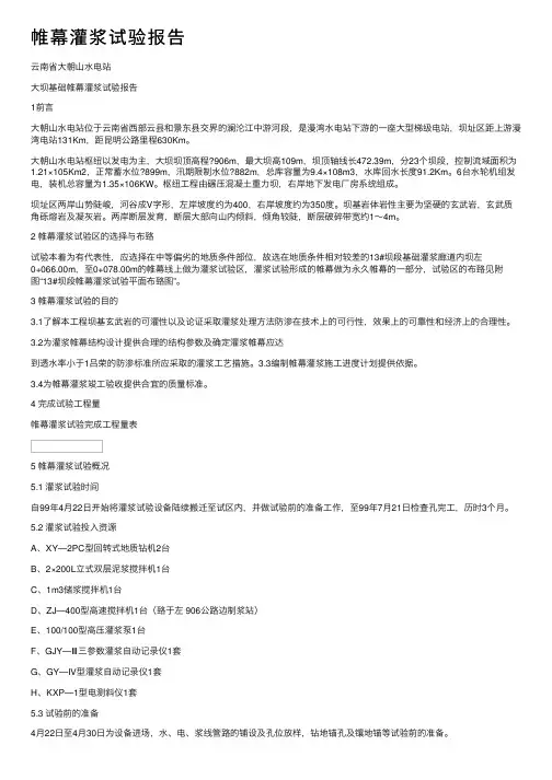 帷幕灌浆试验报告