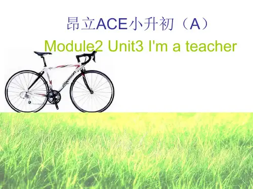 昂立小升初unit3