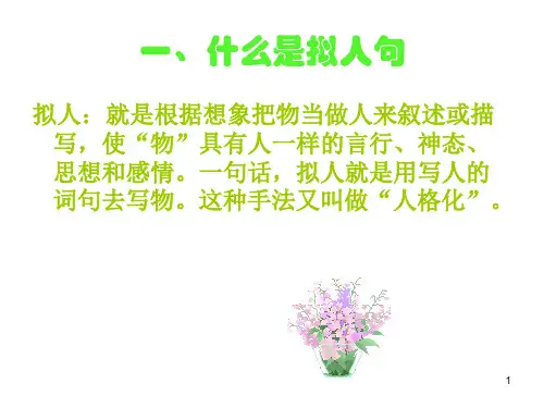 拟人句和比喻句最好的ppt课件