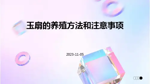 玉扇的养殖方法和注意事项