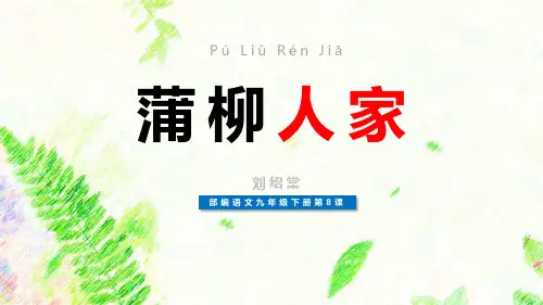 《蒲柳人家》PPT优秀课件精品