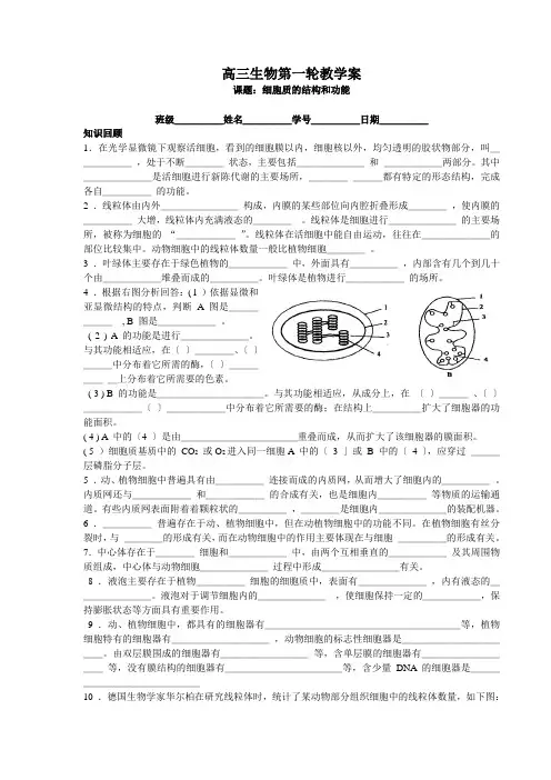 细胞质的结构和功能