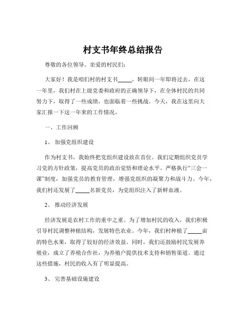 村支书年终总结报告