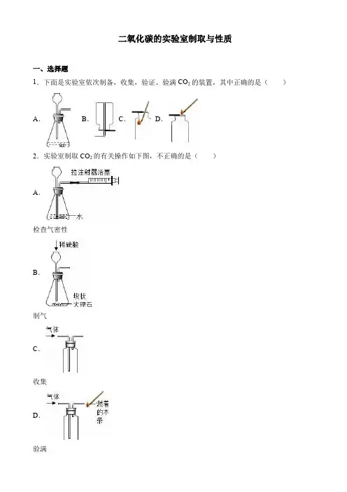 中考化学专题练习16(二氧化碳的实验室制取与性质)