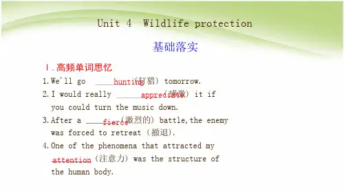 人教版高中英语必修2unit4课文知识点详解课件