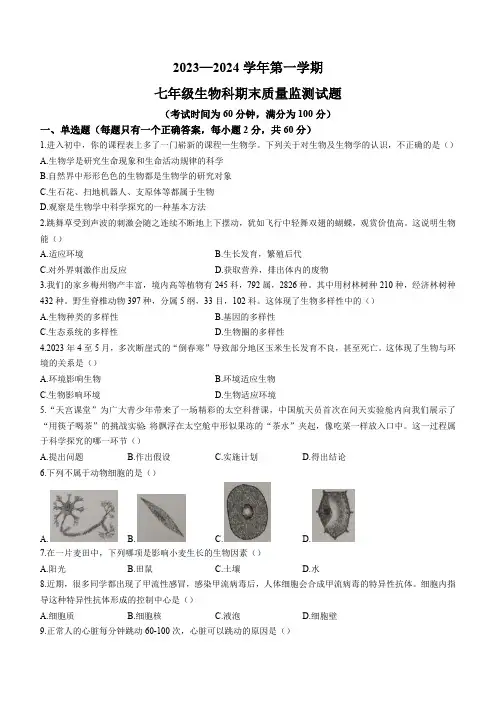 广东省梅州市梅县区2023-2024学年七年级上学期期末生物试题(含答案)