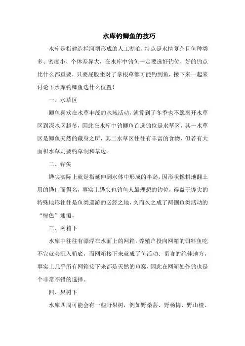 钓鱼技巧：水库钓鲫鱼的技巧
