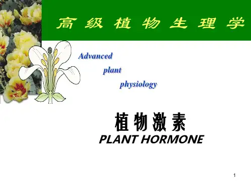 植物激素Plant_hormones ppt课件