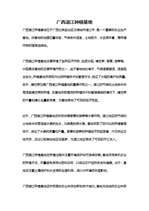 广西湛江种植基地
