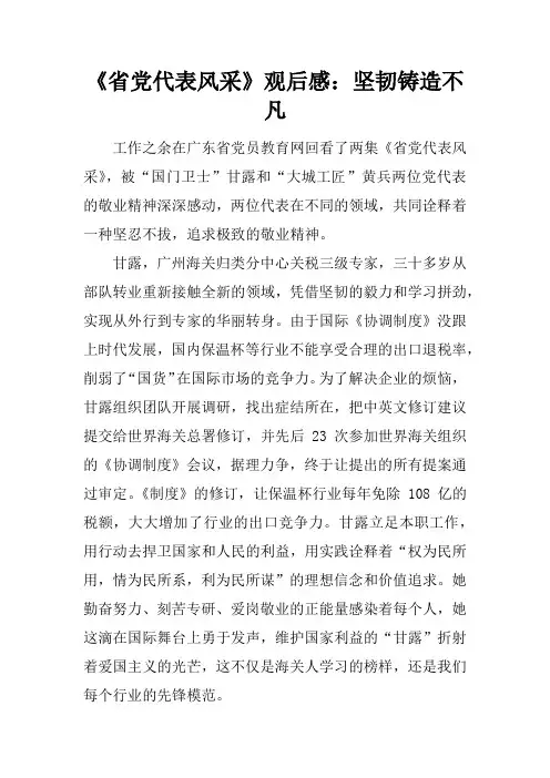 《省党代表风采》观后感：坚韧铸造不凡