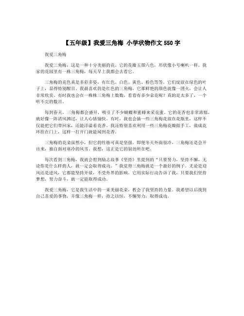 【五年级】我爱三角梅 小学状物作文550字
