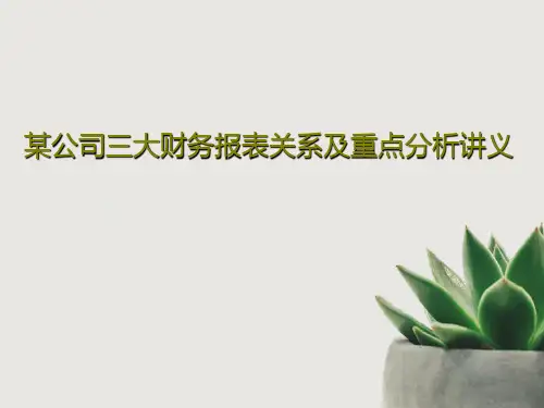 某公司三大财务报表关系及重点分析讲义41页PPT