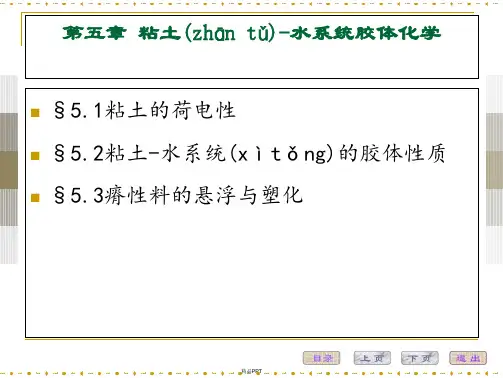 粘土-水系统胶体化学